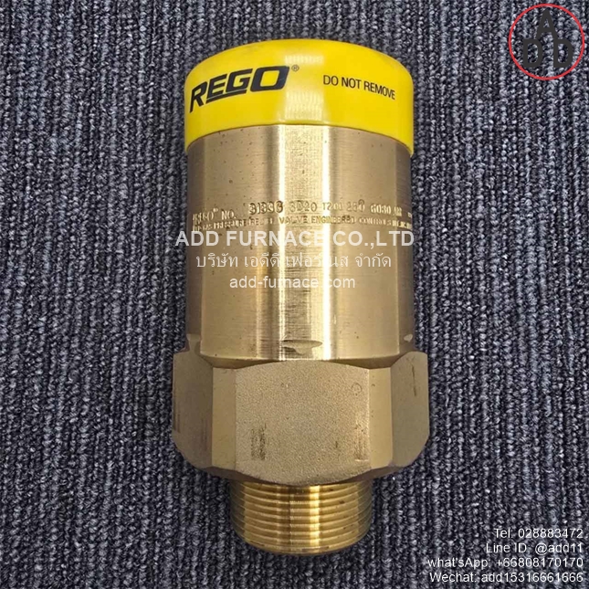 Rego 3133G Safety Relief Valve (1)